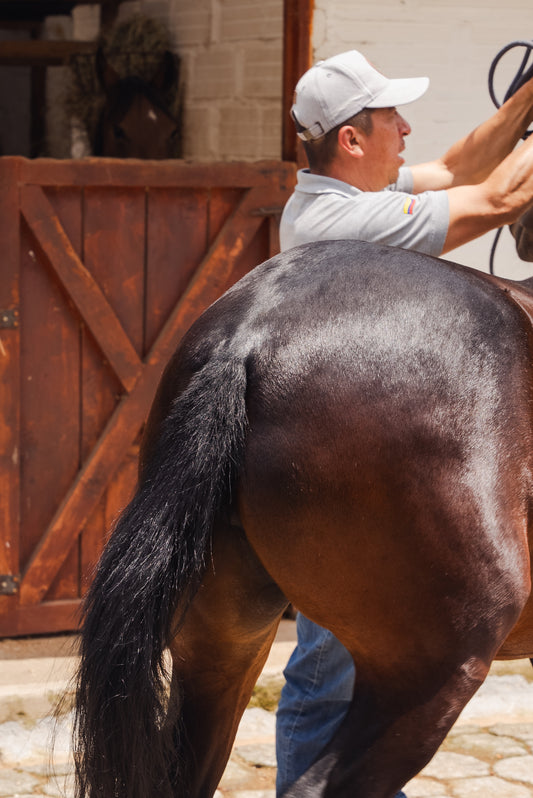 ¿Quieres prevenir cólicos y mejorar la digestión de tus caballos?